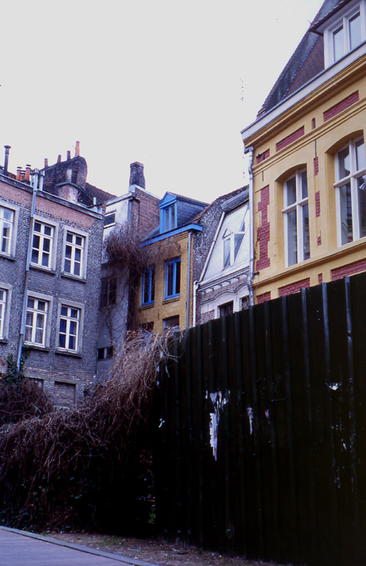 fransisca gallery